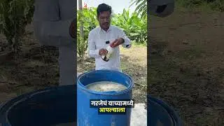 NPK Conso Cha vapar kasa karava  #patilbiotech #agriculture #digitalagriculture