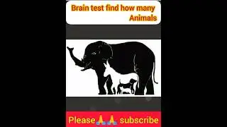 कितने जानवर दिखे 12 #find animals #funny #intresting  #my first short    #cool