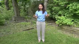 Arm Swing Exercise