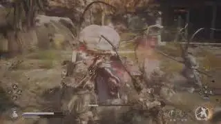 Black Myth: Wukong Bullying Boss in NG+