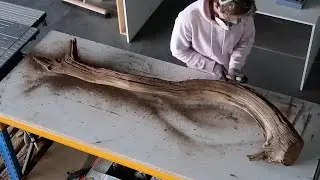 From Branch to Lamp