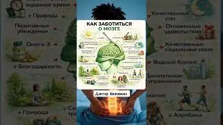 Как заботиться о мозге?