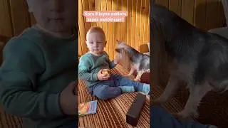 Верный Санчо Панса