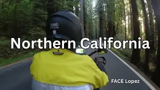 Transalp goes through Eureka, CA, Fortuna and Redwood Forest