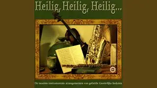 Ik Heb De Vaste Grond Gevonden