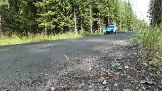 Wrc finlandia 2024