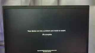 1PACMAN Has BSOD 