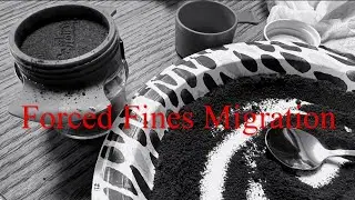 Forced Fines Migration in Espresso Experiment