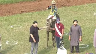 2nd Race Winner Golden Pound Lance Naik Muhamad Mehfooz Shaheed  Cup Lahore Race Club (Horse Racing)