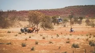 Working at the Kings Creek Station