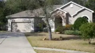 Rock Springs Ridge - Over 1/2 Acre Lot  - $250K