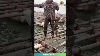 This Guy's Office is Way Cooler Than Yours #oysterfarming #uniquejob #outdoors