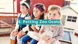 12 Fun Things to Do in Ocala with Kids