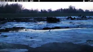 Zo werkt waterberging in de Kleine Netevallei (timelapse)