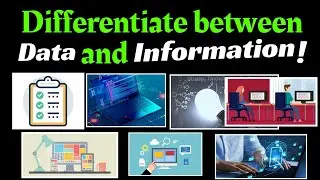 Differentiate between Data and Information | Computer Education | Computer Science 6th Class