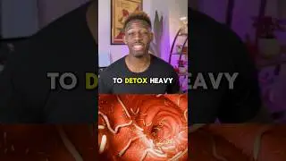 Eliminate heavy metals from your brain and gut