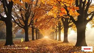 🌙 Deep Worship Instrumental Music | Soul Healing with Devotional Music