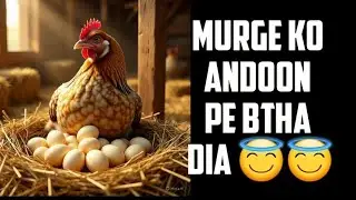 FINALLy murgeee ko andon pe btha dia 😀😀😀😀