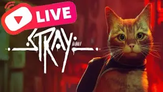 🔴【Stray 浪貓】 ep 5 ｜ Amphib Kaeru🐸 卡魯遊戲 ｜ LIVE