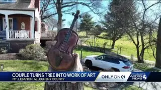 Only on 4: Mt. Lebanon couple turns tree into cello work of art