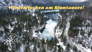 Die Winterforellen hatten richtig Lust - Fischen am Bluntausee!