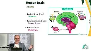 Unlock Your Superlearning Potential: A Neuroscience-Based Approach | Mena Centre 2025