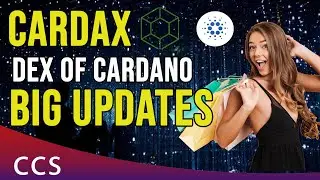 Cardax - Cardano DEX - Big Updates on the Project - Cardano Head Engineering joins Cardax