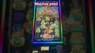 Massive pot explosion! Lucky leprechaun HOLY COW!  #slots #slotmachine #casino