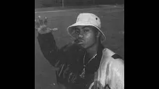 Nas x Illmatic Jazz Boom Bap Type Beat 