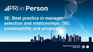 3E: Best practice in manager selection and relationships: DEI, sustainability and progress