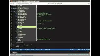 VIM Python-mode