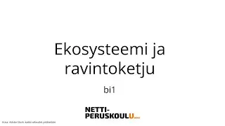Biologia: Ekosysteemi ja ravintoketju (perusopetus)