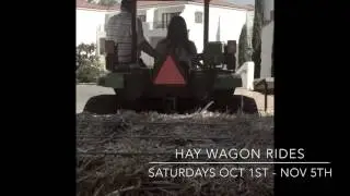 Hay Wagon Ride | Ojai Valley Inn & Spa | 2016