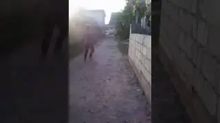 Зіта і Гіта Не поділили мусор