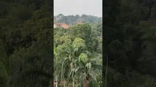 Sounds & Sights of Kampala