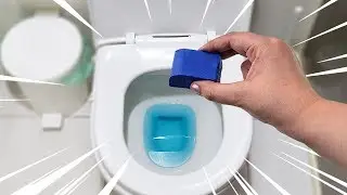 😱 NÃO DÊ DESCARGA NO SEU BANHEIRO ANTES DE VER ESSE VÍDEO