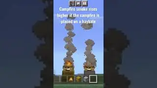 Minecraft Campfire Fact