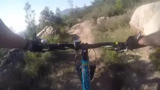 Vasbyt - Tokai