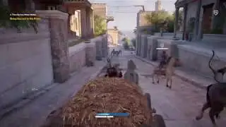 Assassin's Creed Origins | Cart fail