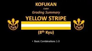 Grading Summary: Yellow Stripe (Cadet)