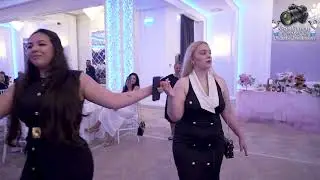 PUISOR DE LA MEDIAS - SISTEM BANAT -  BOTEZ ROSA LA MAGURI