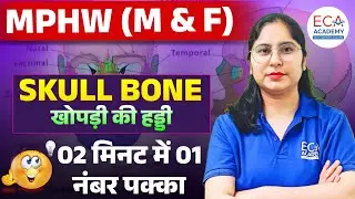 MPHW M&F | ANATOMY -  SKULL BONE | ANATOMY CLASS FOR MPHW | ECA ACADEMY |