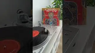 Wailing Souls - Shark Attack - Reggae Vinyl #Shorts