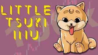 Little Tsuki Inu The Cutest Dog in Crypto