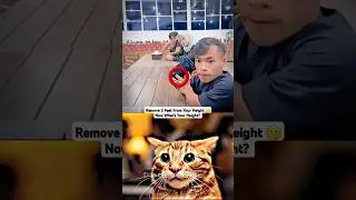 CHAD THE MASTER OF DETECTIVE 💀 #cat #memes #dance || 4K SHORTS || OHIO CAT BOMBASTIC