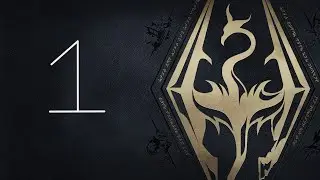 New Skyrim playthrough! (Part 1)