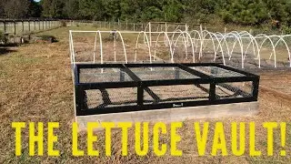 From Low Tunnel  To Cold Frame