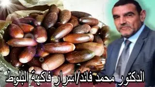 الدكتور محمد فائد || البلوط الفاكهة التي لا يعلم الناس أسرارها ولا الناصحون