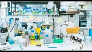 Experimental Design Module Using EduFlow