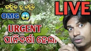 URGENT RAINA LIVE II LAGUCHAP PANIPAGA II NEWS II BINOD VLOGS 95OD15 going live!
